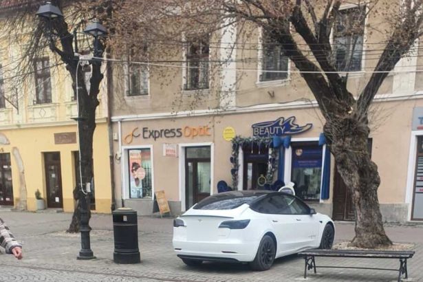 FOTO Cu Mustang si Tesla pe pietonal Smecherii care si au parcat masinile in zona pietonala au fost sanctionati de Politia Locala