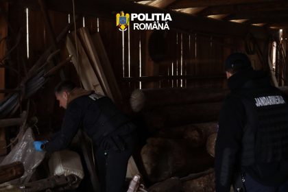 FOTO VIDEO PERCHEZIII in Lesu Braconaj contrabanda si arme ilegale