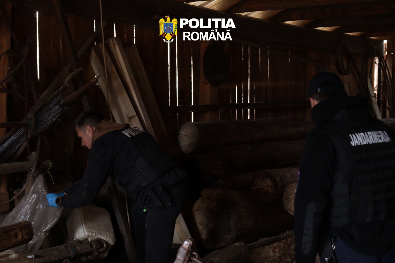 FOTO VIDEO PERCHEZIII in Lesu Braconaj contrabanda si arme ilegale