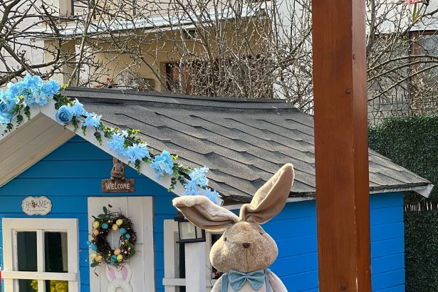 FOTO VIDEO Poiana iepurasilor isi deschide astazi portile Vanatoare de oua si oua de aur alaturi de surprizele pregatite