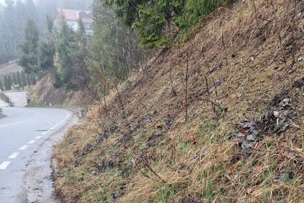 mobilizare record pentru curatirea colibitei de gunoaie au participat si primarii precum si adi deseuri si adi turism