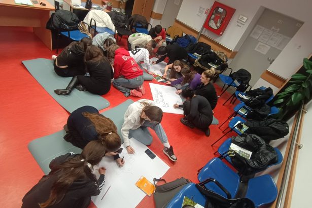 video bistrita ofera romaniei nu doar un program de preventie la cheie pregatit pentru implementare la nivel national ci si un model de actiune