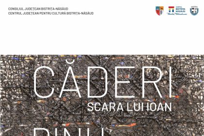 BISTRITA Expozitia Dinu Savescu la Galeria ROD Caderi Scara lui Ioan O alta perspectiva asupra lumii