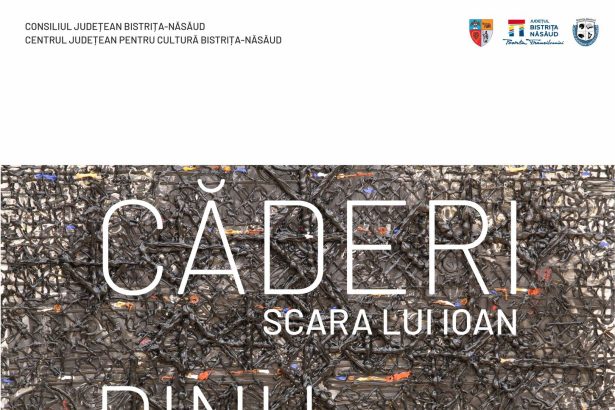 BISTRITA Expozitia Dinu Savescu la Galeria ROD Caderi Scara lui Ioan O alta perspectiva asupra lumii