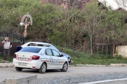 FOTO Interventie neobisnuita a polisitilor in Neteni dupa un conflict imobiliar generat de un stup de albine nervoase