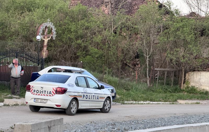 FOTO Interventie neobisnuita a polisitilor in Neteni dupa un conflict imobiliar generat de un stup de albine nervoase