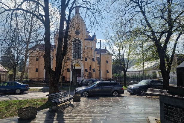 Tanar internat fortat aseara la psihiatrie dupa ce ar fi agresat bancile dintr un parc si a provocat un scandal