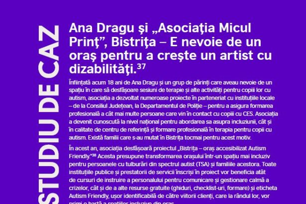 VIDEO Aristii de la Micul Prince inclusi in studiul British Council Romania pentru o strategie nationala E nevoie de un oras pentru a sprijini dezvoltarea unui artist cu dizabilitati