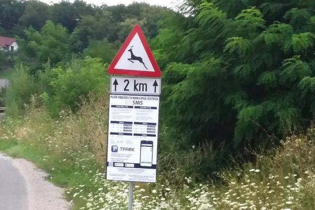 Amenzi de sute de lei pentru cei care nu au vinieta si nu platesc taxa de parcare indiferent de locul unde parcheaza