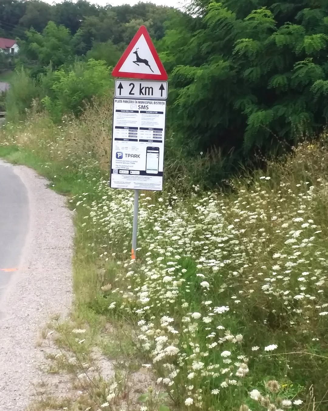 Amenzi de sute de lei pentru cei care nu au vinieta si nu platesc taxa de parcare indiferent de locul unde parcheaza