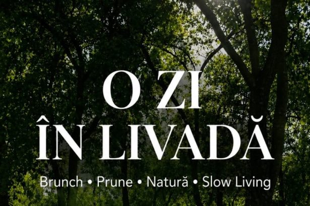 Aromele toamnei la Urmenis Cules de prune retete traditionale si relaxare in livada