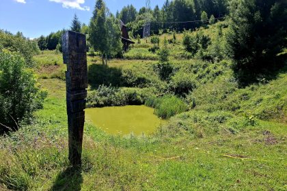 FOTO Intalnirile din Maxonia anul acesta dedicate bronzului Cine sunt artistii invitati