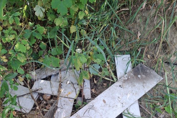 Munca unui om bataia de joc a altora un localnic din Rebris oara a curatat gratuit un parau iar vecinii lau umplut din nou cu gunoaie