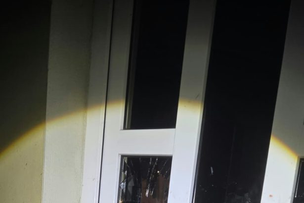 video o femeie ranita si plina de sange fugind de jandarmi prin curtile bistritenilor in zona alexandru odobescu