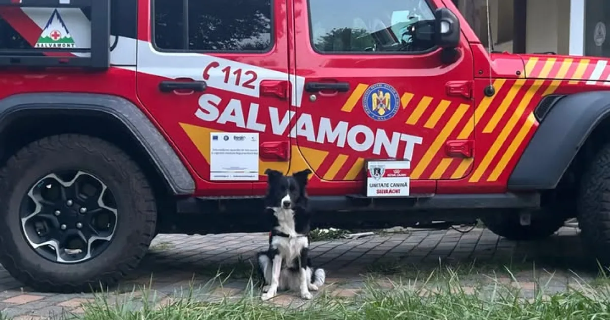 Biciclist rătăcit în Munții Țibleș. Salvamontiștii și unitatea canină, pe urmele sale