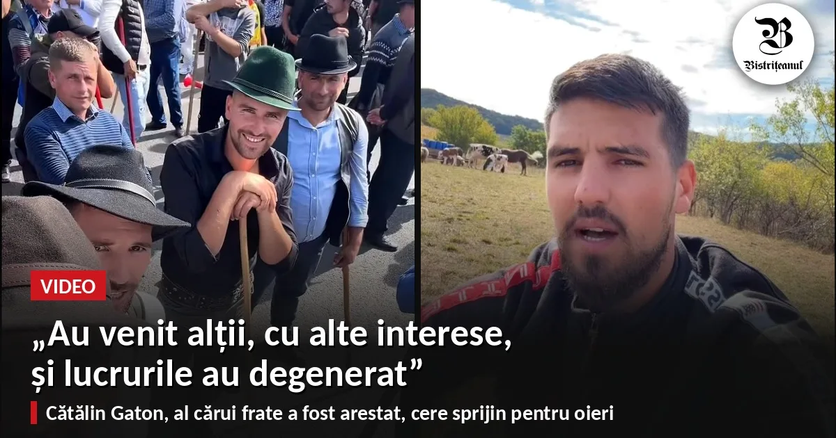 Cătălin Gaton, după arestarea fratelui său: „Nu ne priviți ca pe infractori”