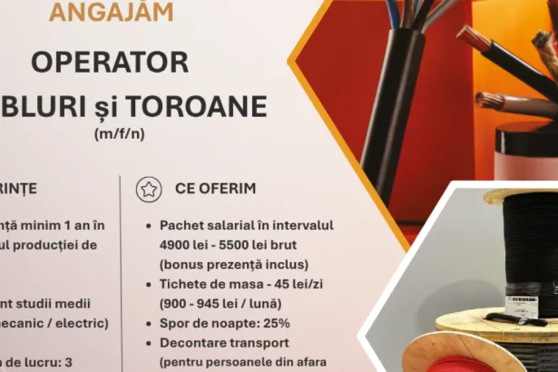 Clinica Sanovil angajează economist la Bistrița: noi posturi disponibile