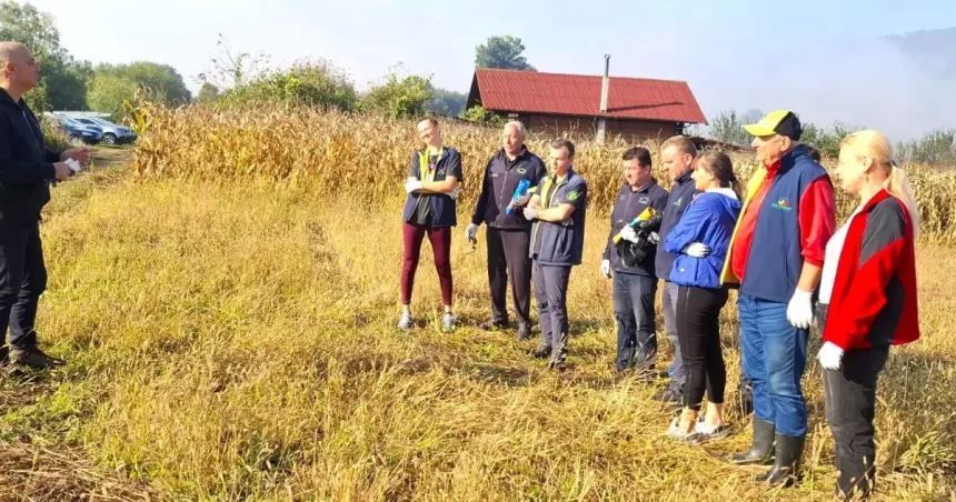 Echipa ADI Deșeuri BN participă la acțiunea națională de ecologizare „Let’s do it Romania”