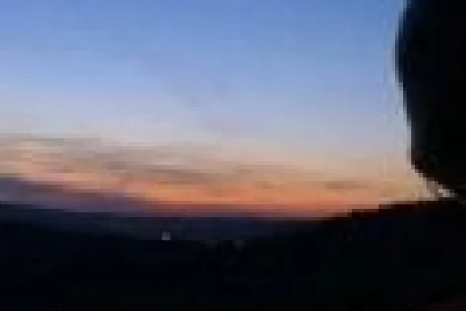 Fermă high-tech la Lechința: roboți care mulg vacile și drone pentru sol