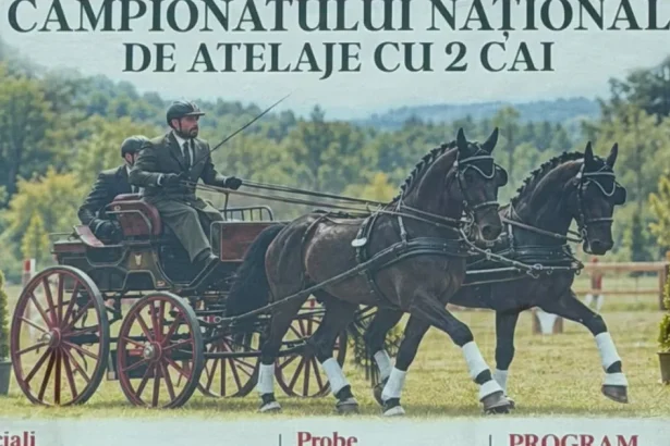 Herghelia Beclean găzduiește finala Campionatului Național de Atelaje
