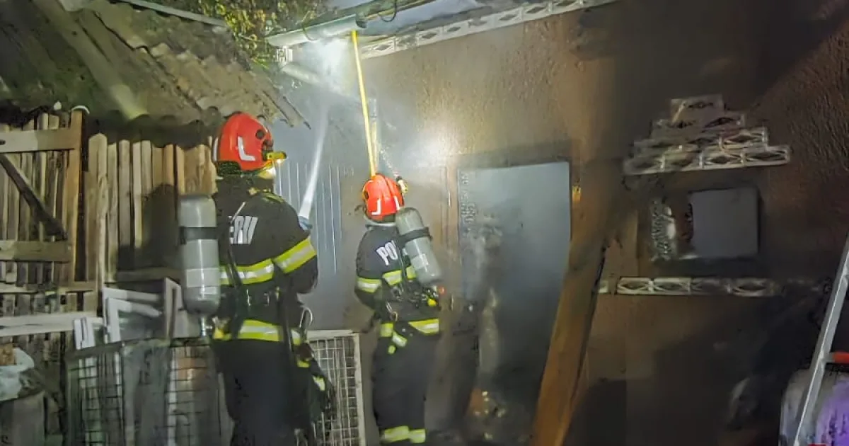 Incendiu puternic la o anexă din Negrilești: 25 de găini au murit în flăcări