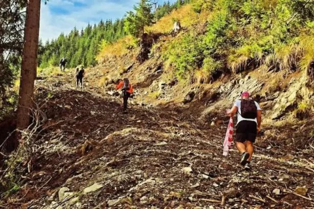 Paradise Trail Marathon: patru curse și 67 de kilometri pe Valea Bârgăului