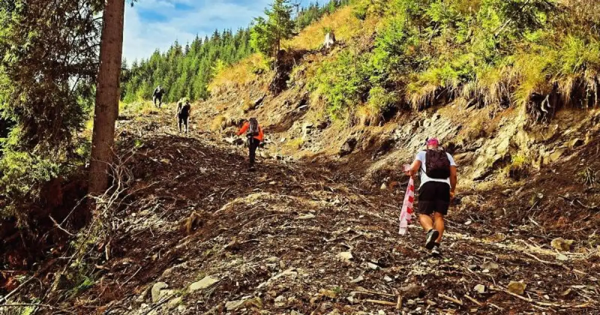 Paradise Trail Marathon: patru curse și 67 de kilometri pe Valea Bârgăului