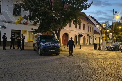 Protest în Bistrița: „Un omagiu” și „priveghiul arborilor cu iertăciunile de rigoare”