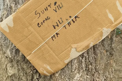 Protest inedit pe Pietonal: „Nu mă tăia! Sunt viu! Trăiesc pe Pietonal!”