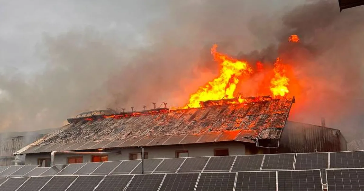 Unde și din ce cauză izbucnesc cele mai multe incendii în Bistrița-Năsăud?