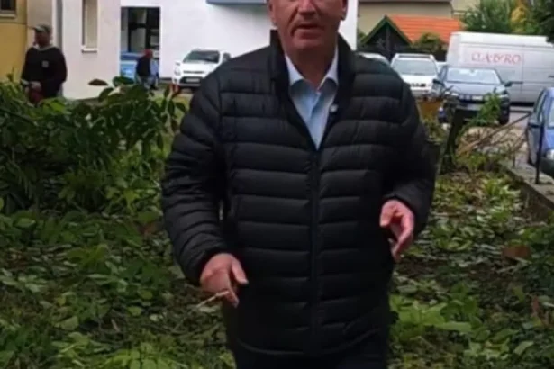 VIDEO – Gabriel Lazany: Încă o „junglă urbană” din Bistrița se transformă!