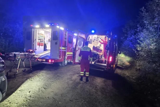 Bărbat inconștient după ce a fost lovit de un lemn în cap, în pădurea din Ilva Mare