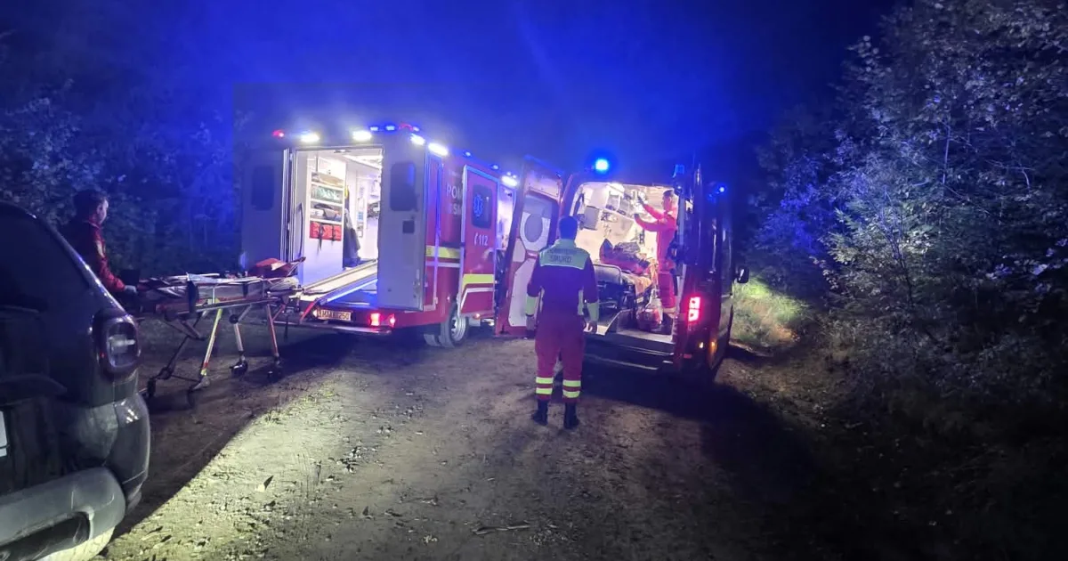 Bărbat inconștient după ce a fost lovit de un lemn în cap, în pădurea din Ilva Mare