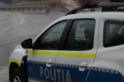 Câine periculos adus de un bistrițean! Controale și sancțiuni ale polițiștilor