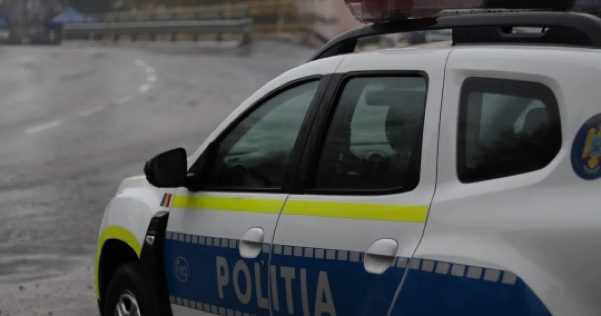 Câine periculos adus de un bistrițean! Controale și sancțiuni ale polițiștilor