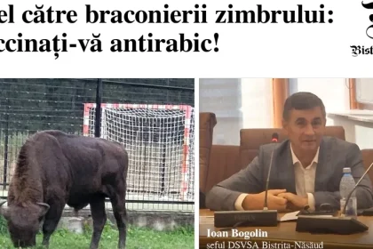 Cine a luat capul zimbrului trebuie să se vaccineze antirabic; rabia, neexclusă