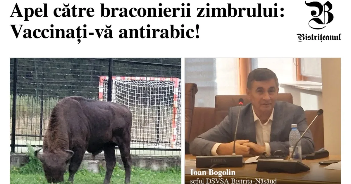 Cine a luat capul zimbrului trebuie să se vaccineze antirabic; rabia, neexclusă
