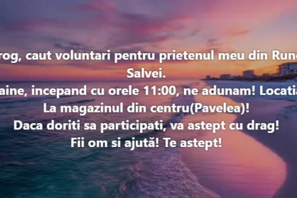 Ciobănașul din Runc este de negăsit! Peste 50 de oameni l-au căutat ieri, fără succes