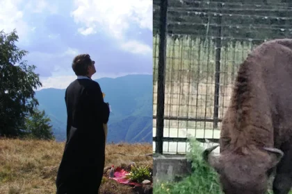 Crin – Triandafil Theodorescu: „Decapitarea zimbrului nu m-a șocat”