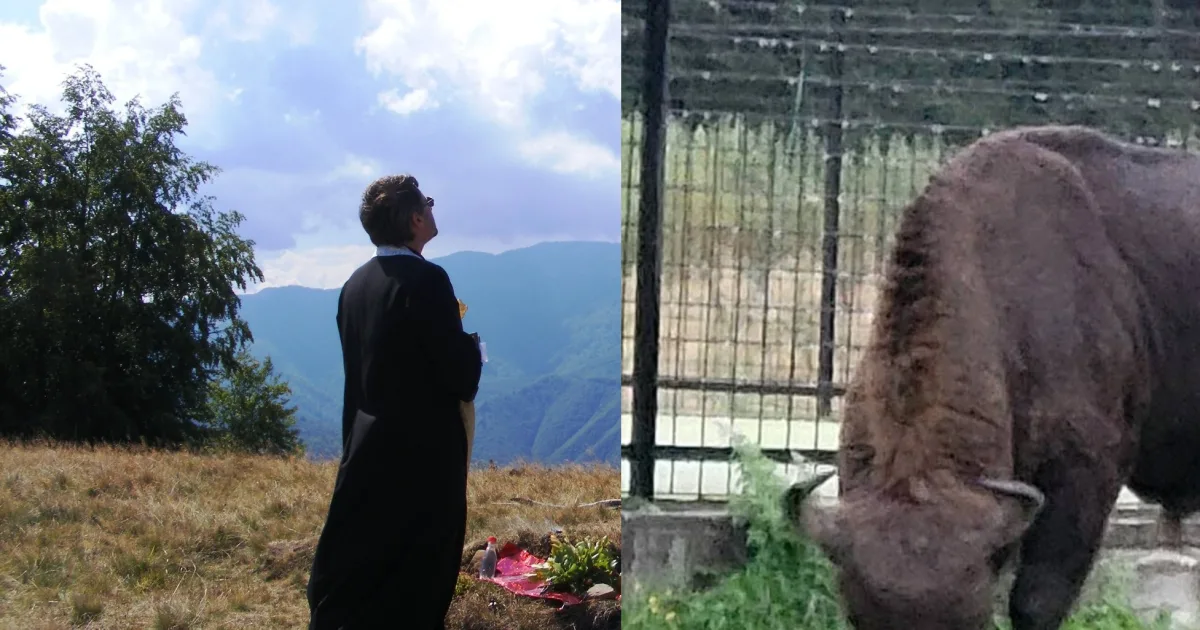 Crin – Triandafil Theodorescu: „Decapitarea zimbrului nu m-a șocat”