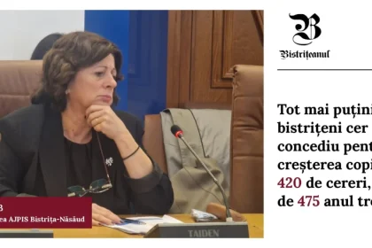 Doar 30 de mame minore din Bistrița-Năsăud primesc indemnizație pentru copil