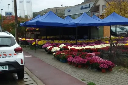 Flori și candele pentru Luminație în Bistrița: unde le cumpărați și ce riscă vânzătorii