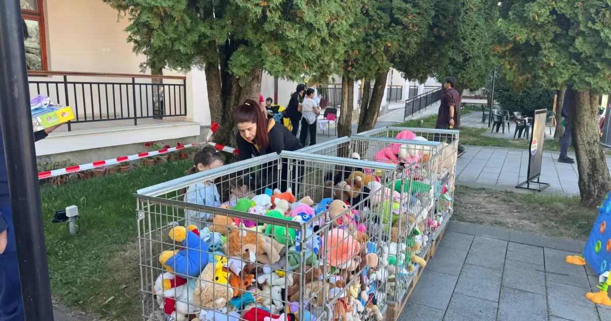 FOTO/VIDEO – „Mușuroi” de oameni la Târgul de Purici: bistrițenii caută comori chilipir