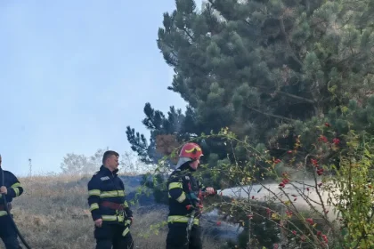 Incendiu violent în Stupini: Șapte hectare de vegetație în flăcări, vânt puternic