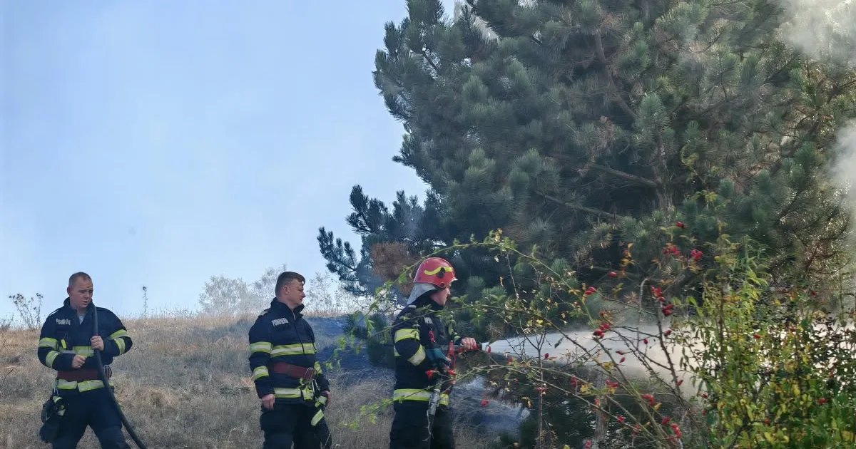 Incendiu violent în Stupini: Șapte hectare de vegetație în flăcări, vânt puternic