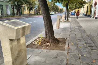 Primăria Bistrița: statuile lui Andrei Mureșanu și George Coșbuc vor fi restaurate