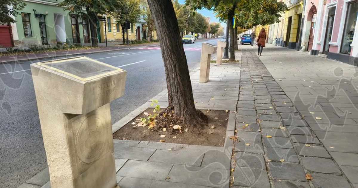 Primăria Bistrița: statuile lui Andrei Mureșanu și George Coșbuc vor fi restaurate