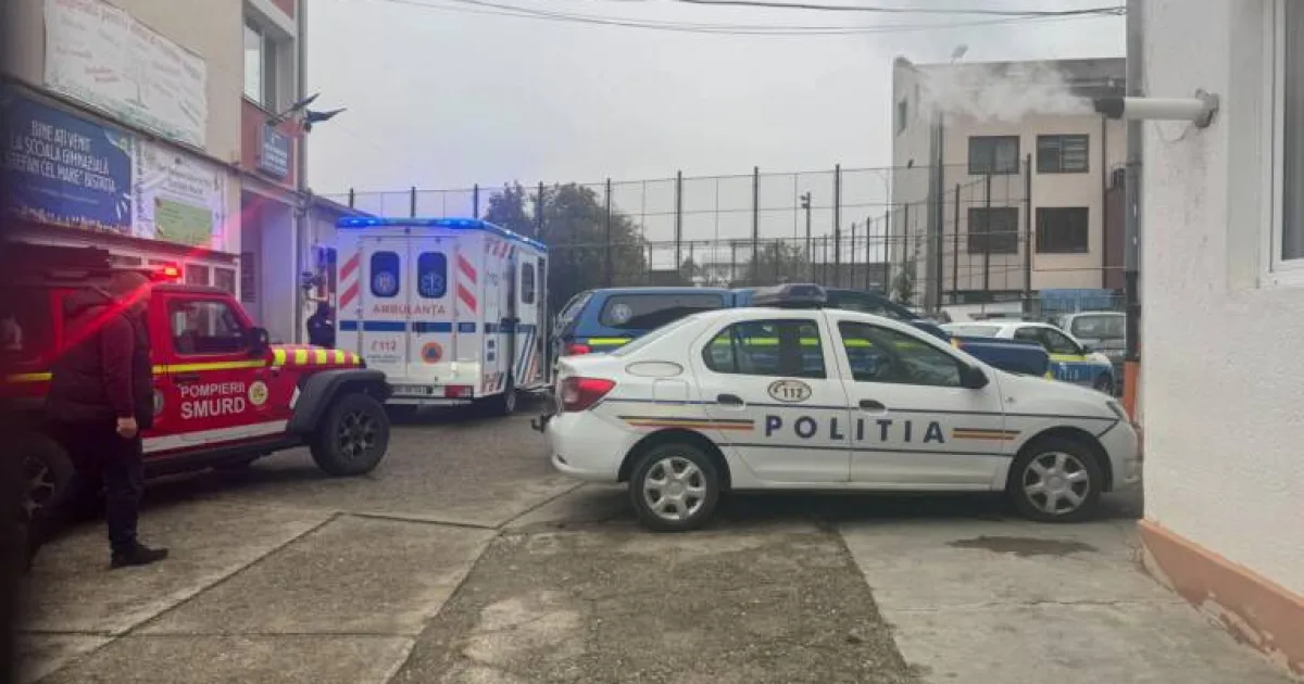 Șapte măsuri anunțate de Guvern după atacurile din școlile din Bistrița și Pitești