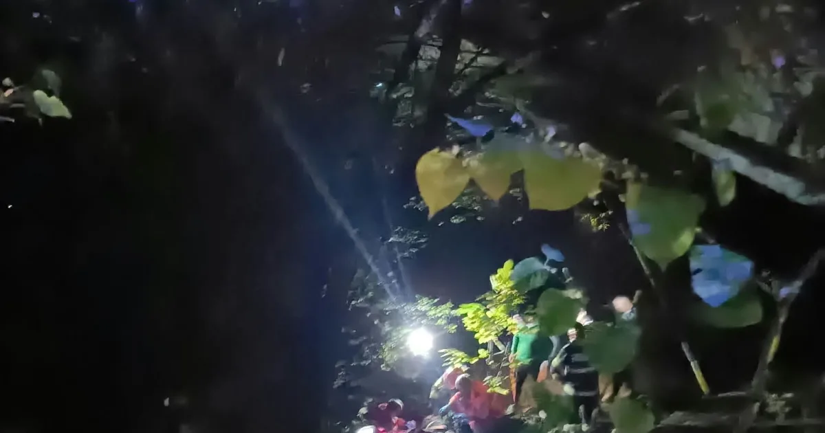Un bărbat de 77 de ani a căzut în apă, la Podul Jelnei