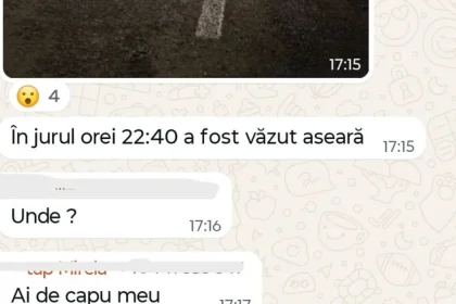 Ursul a vizitat trei nopți la rând Slătinița. „Mi-a apărut în față, noroc că erau oameni!”